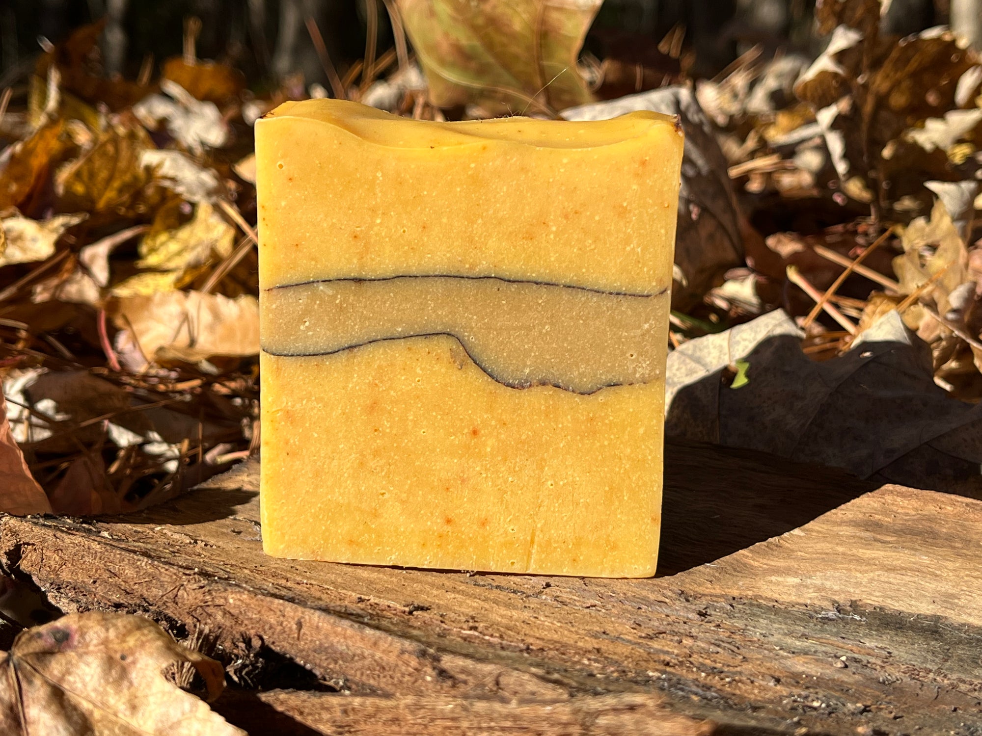 Orange & Clove Goats Milk Soap